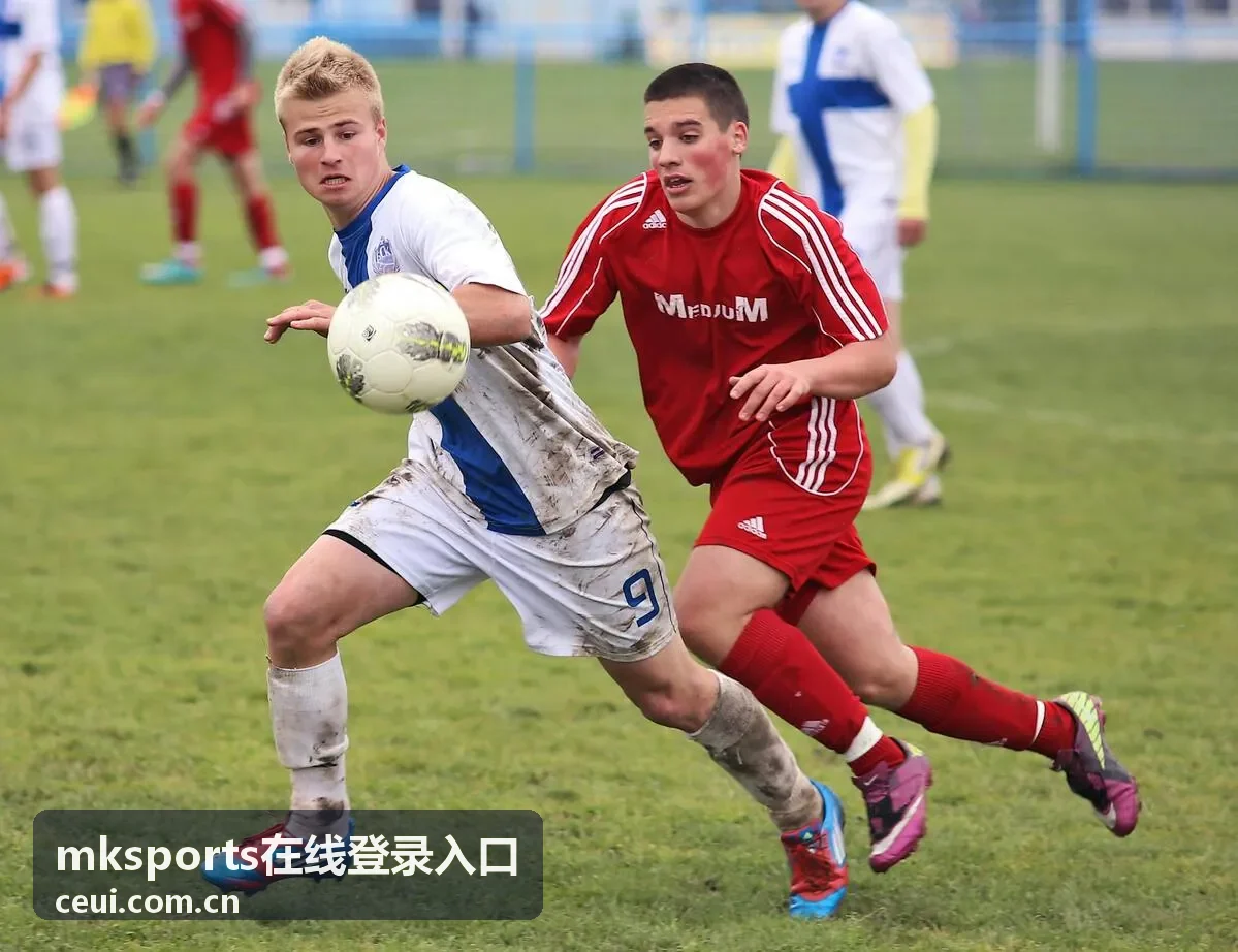 mksports在线登录入口账号安全页面封面图