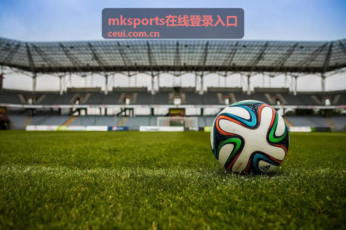 mksports在线登录入口客户端网络环境选择示意