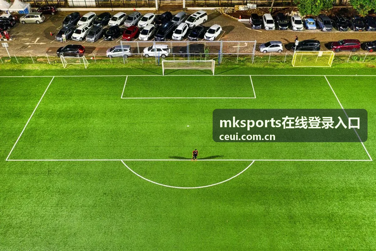 mksports在线登录入口球队走势与球员统计图表示意图