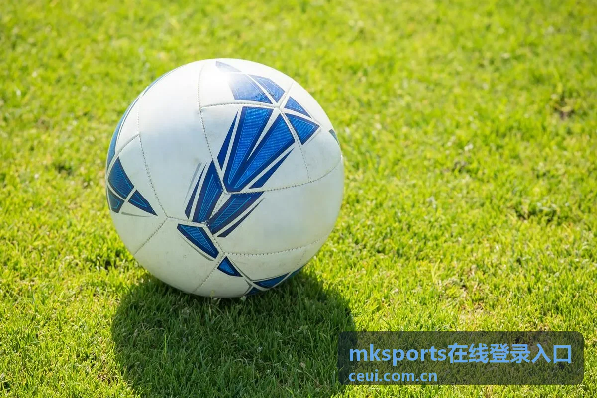 mksports在线登录入口手机与电脑同步查看赛事数据示意图
