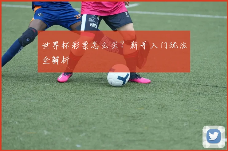 世界杯彩票怎么买？新手入门玩法全解析
