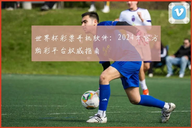 世界杯彩票手机软件：2024年官方购彩平台权威指南