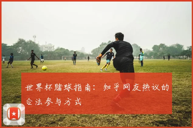 世界杯赌球指南：知乎网友热议的合法参与方式