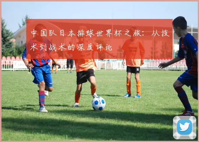 中国队日本排球世界杯之旅：从技术到战术的深度评论