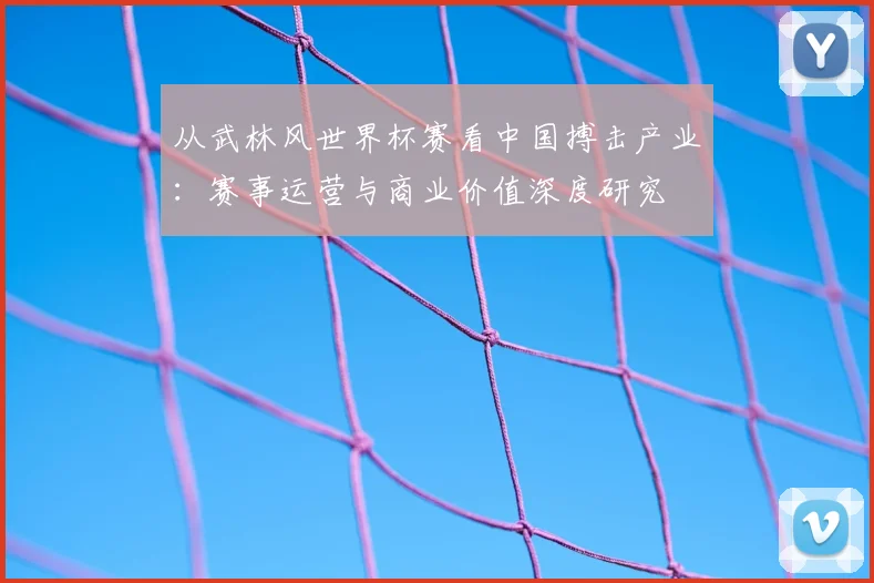 从武林风世界杯赛看中国搏击产业：赛事运营与商业价值深度研究